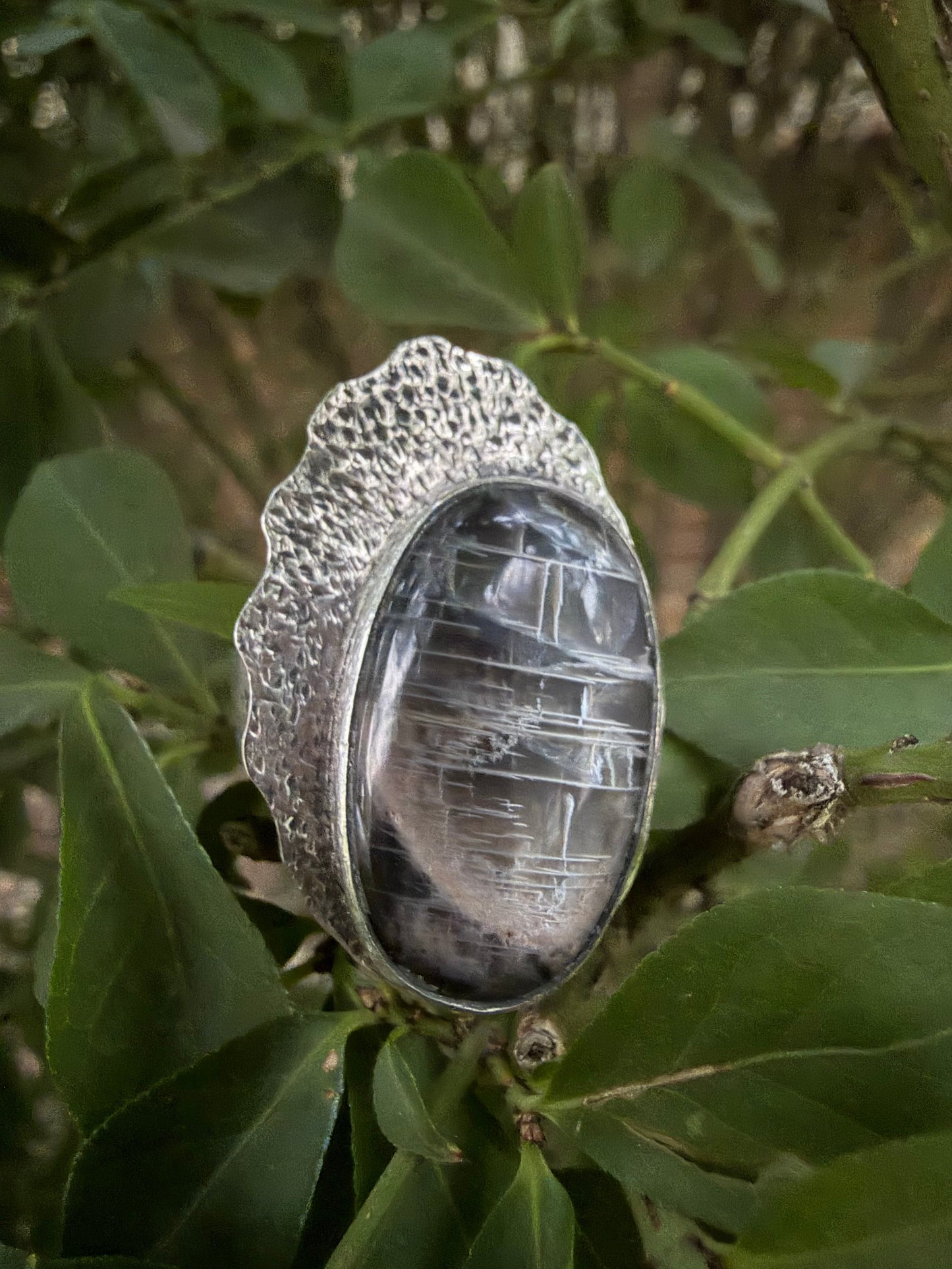 A silver ring featuring a large, oval cabochon gemstone with a distinctive black and white crackled or textured pattern, displayed on a leafy green branch.