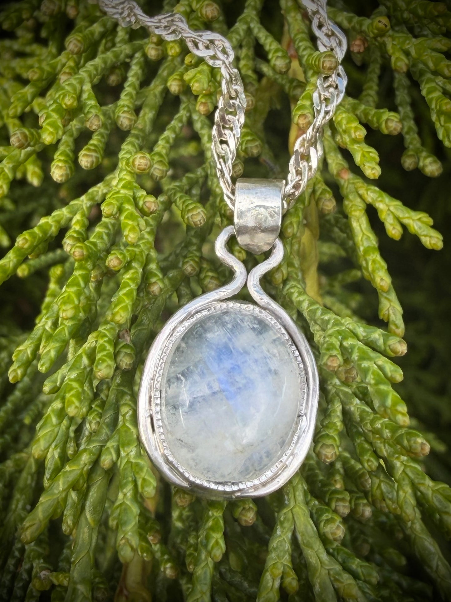 A handcrafted sterling silver Iris Pendant featuring a luminous oval gemstone cabochon with blue flashes. The artisan necklace is displayed against a background of vibrant green evergreen branches, highlighting the natural aesthetic of the hand-fabricated jewelry.